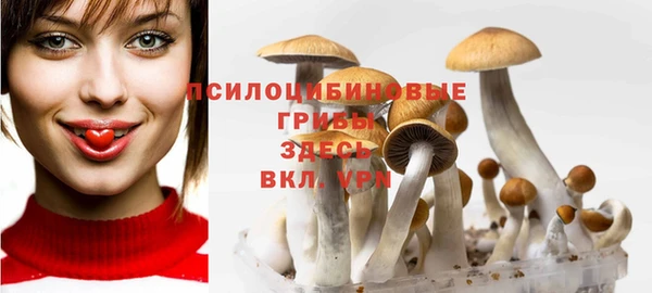 ECSTASY Абаза