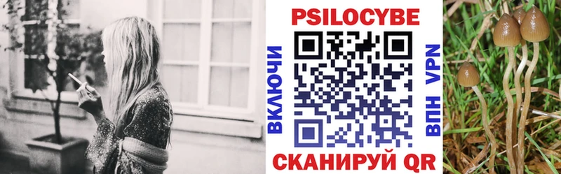 купить наркоту  кракен tor  Галлюциногенные грибы MAGIC MUSHROOMS  Нерчинск 